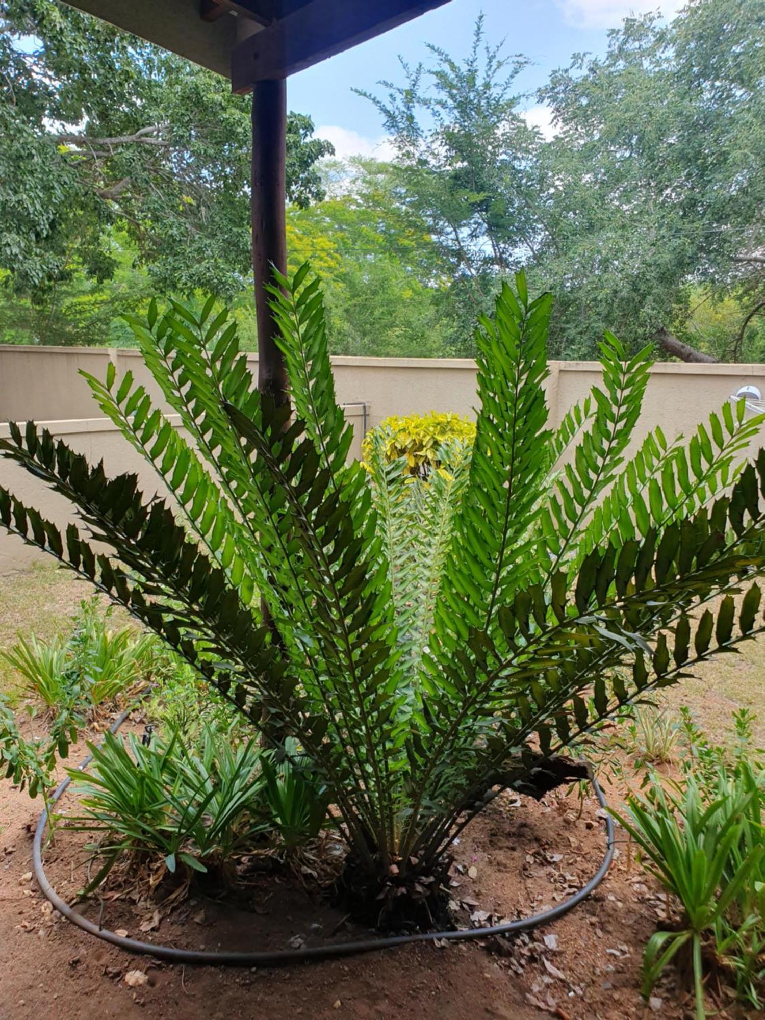 Gecko Cottages هكتورسبروت المظهر الخارجي الصورة